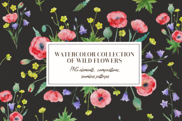 Discover the Beauty of Set of Watercolor Wild Flowers
