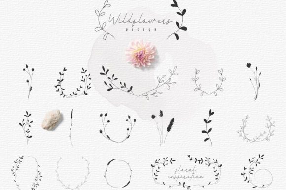 Discover the Charm of Hand-Drawn Botanic Elements