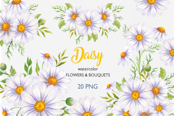 Elevate Your Designs with Daisy Watercolour Clipart, Chamomile