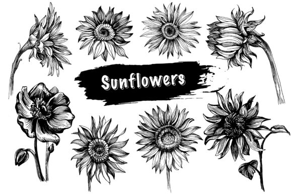 Explore the Versatile Sunflower Bundle for Creative Projects