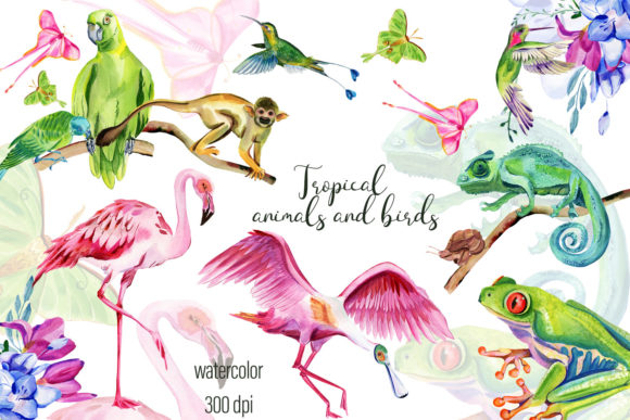 Explore the Vibrant Tropical Jungle Animal Collection