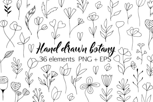 Exploring Hand-drawn Botany Flowers and Leaves: A Unique Design Resource