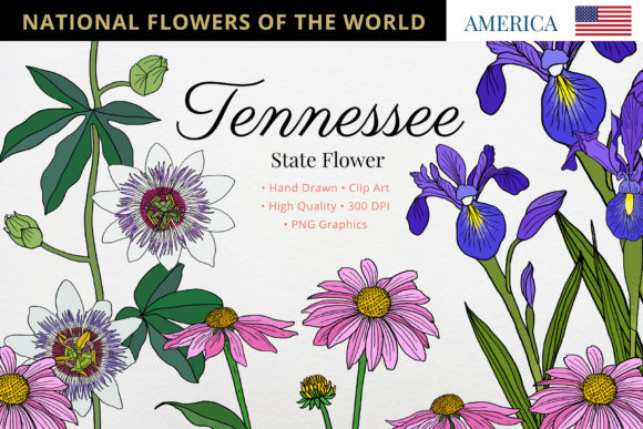 Exploring the Beauty and Significance of the Tennessee State Flower
