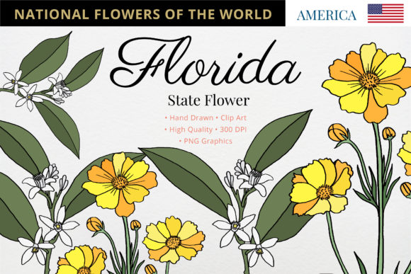 Exploring the Beauty of Florida's State Flowers and Their Global Counterparts