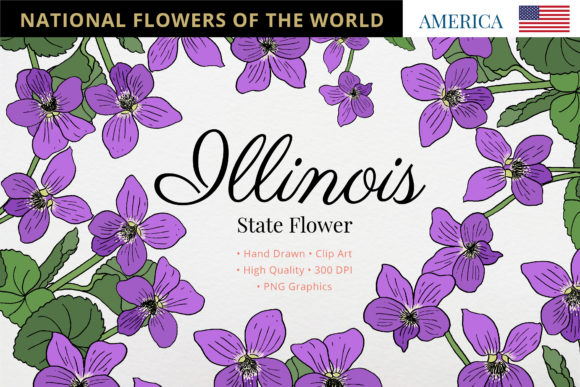 Exploring the Beauty of Illinois State Flower: The Violet
