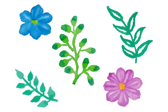 Exploring the Versatility of Watercolor Flower Design Elements Vector