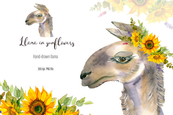 Introducing the Watercolor Portrait of Llama Sunflowers: A Whimsical Addition to Your Creative Projects