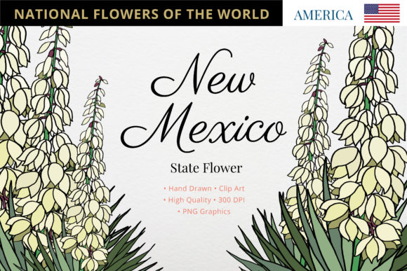 New Mexico State Flower: The Yucca