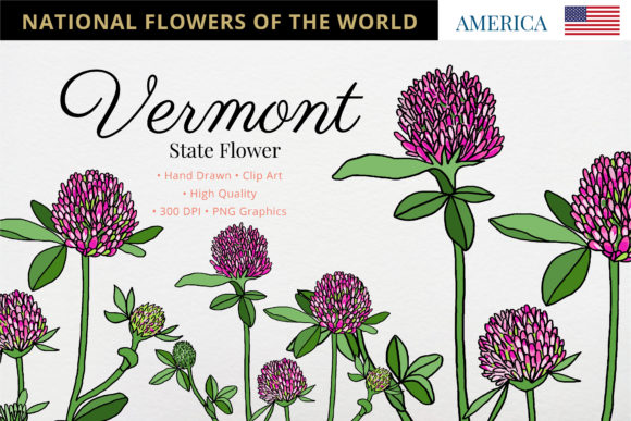 The Red Clover: Vermont's State Flower and a Symbol for Modern Creative Commerce