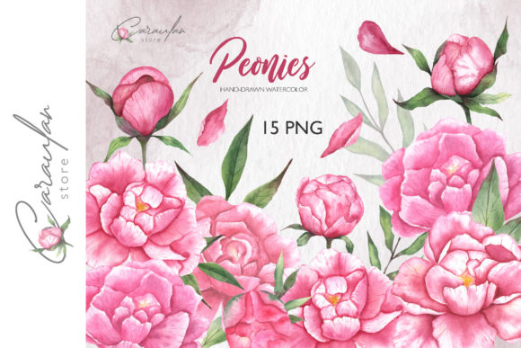 Watercolor Peonies Clipart: A Versatile and Elegant Design Element